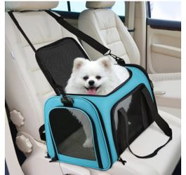 Pet Carrier For Puppies Cats