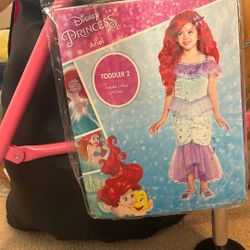 Disney Princess Ariel Dress 