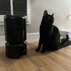 Automatic Pet Feeder