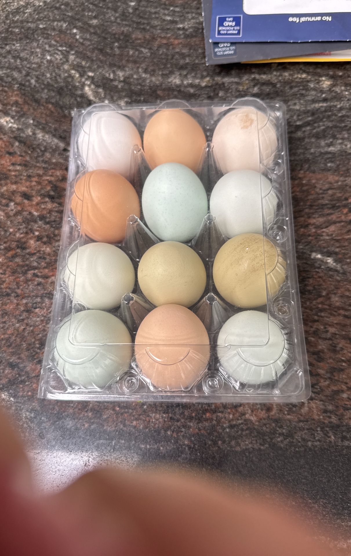 100%organic Eggs For Sale