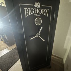 Gun Safe 