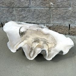 Giant Shell
