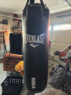 Punching Bag + Boxing Gloves - $75