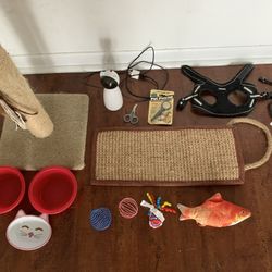 assorted cat toys, scratchers, bowls