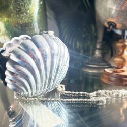 🎄🎄Pretty Girl Platinum Seashell 🐚 Bag 🔥🔥