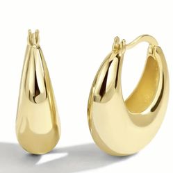 Elegant 18K Gold-Plated Chunky Huggie Hoop Earrings 