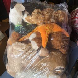 Stuffed Animals