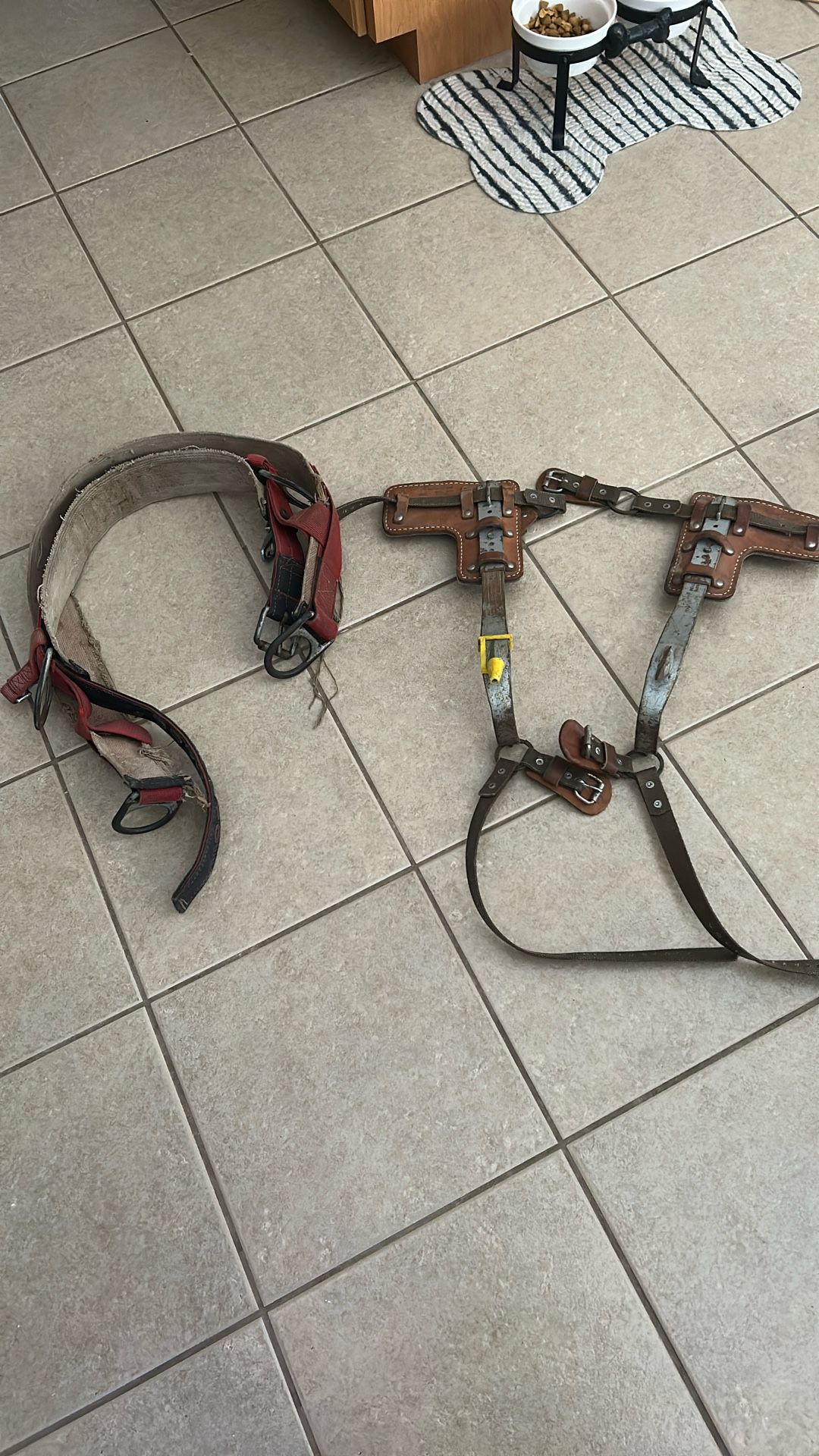 Tree Spikes And Climbing Belt 