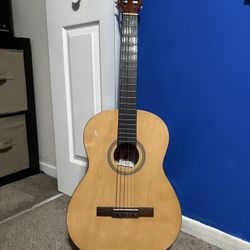 Acoustic Palmer Guitar