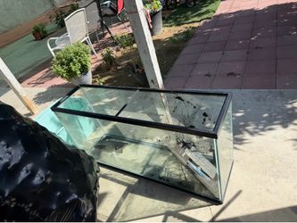 Fish tank for sale