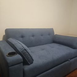 Loveseat Sleeper