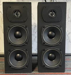 New Custom 4.5” MMT Speakers 