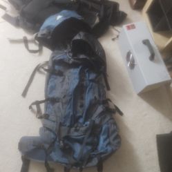 Eastern Mountain Sports Backpack