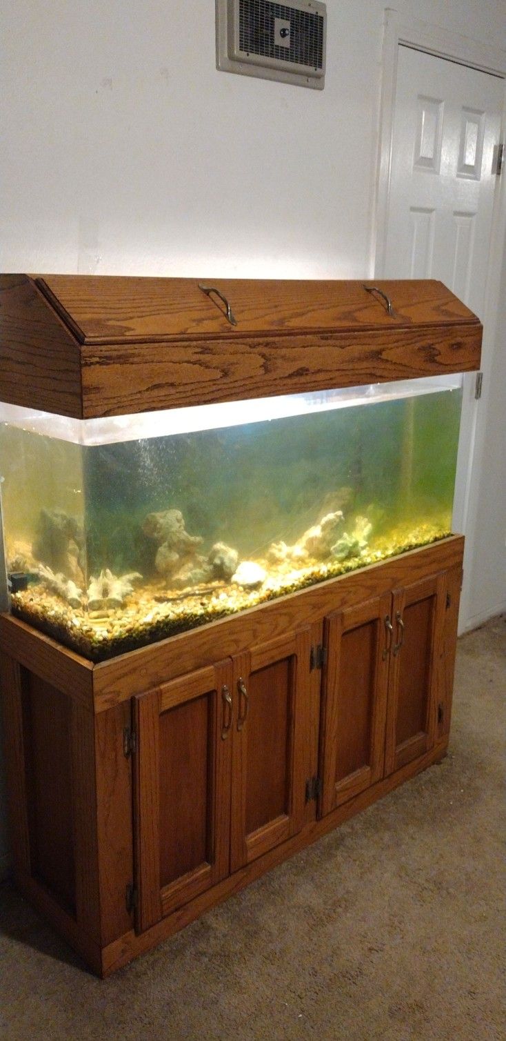 50 Gallon Acrylic Fish Tank