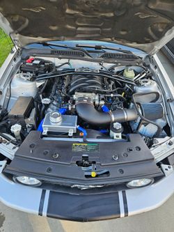 2005 Ford Mustang