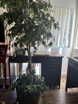 Artificial Plant