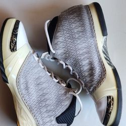 Air Jordan 23 White Stealth