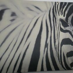 Zebra Art Painting Decor