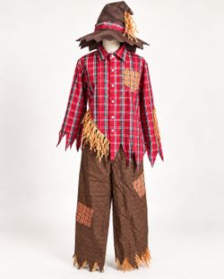Men's  Scarecrow Halloween Costume Set XL