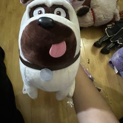 Dog Plush new
