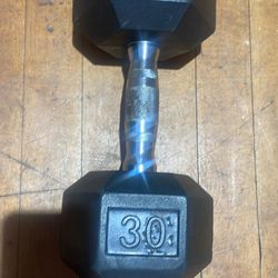 30 LB Weight 