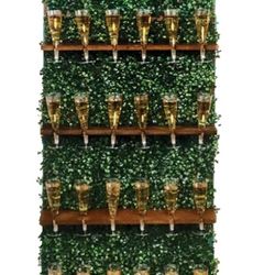 Champagne Wall Party Display 