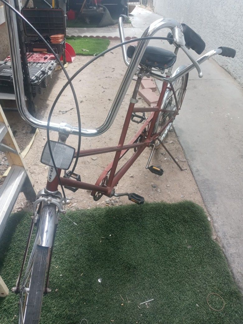 Old School Schwinn Two Setter