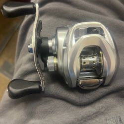 Daiwa Aird 80 Baitcast Reel