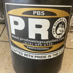 youth size boxing bag 