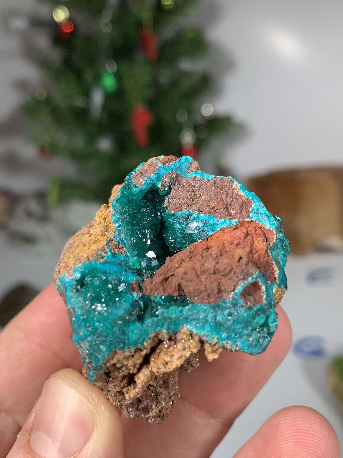 Tranquil Blue-Green Dioptase In Red Limonite Matrix