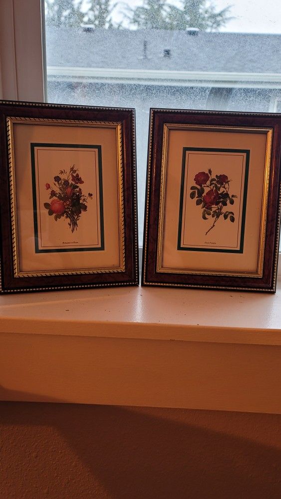 Vintage Framed Floral Prints Roses