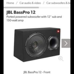 12" Subwoofer