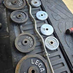 Weight Curl Bar & Plates