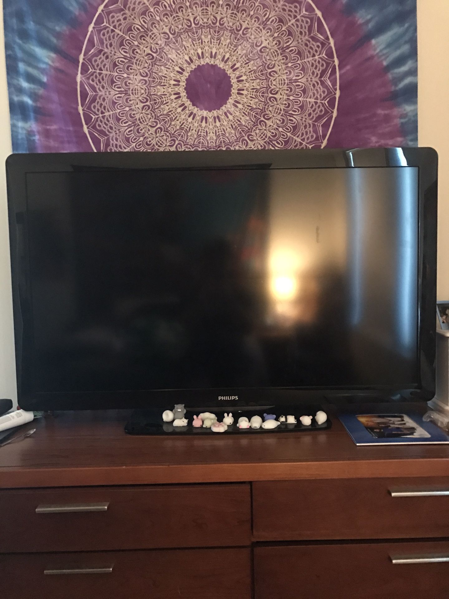 46 inch Phillips flat screen