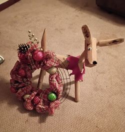 Reindeer