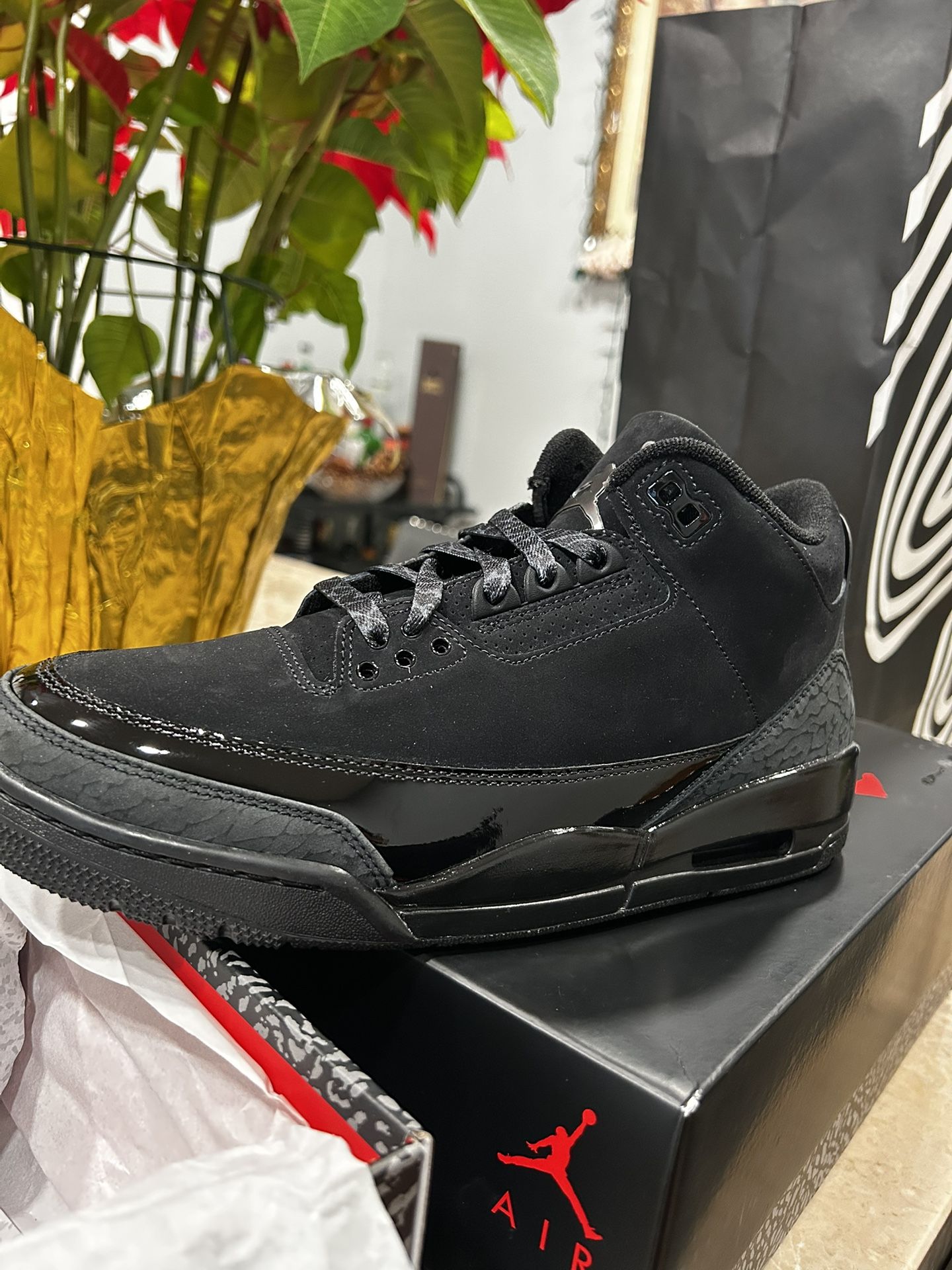 Jordan 3 Black Cat