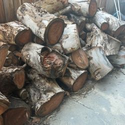 Eucalyptus Wood