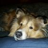 Dave