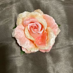 Dress Rose Flower 