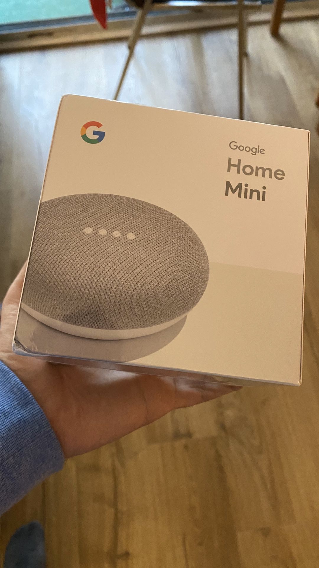 Google Home Mini (Chalk)