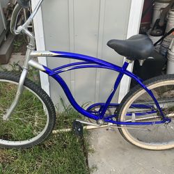 Micargi Panda Bicycle Beach Cruiser