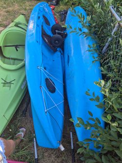 Kayak