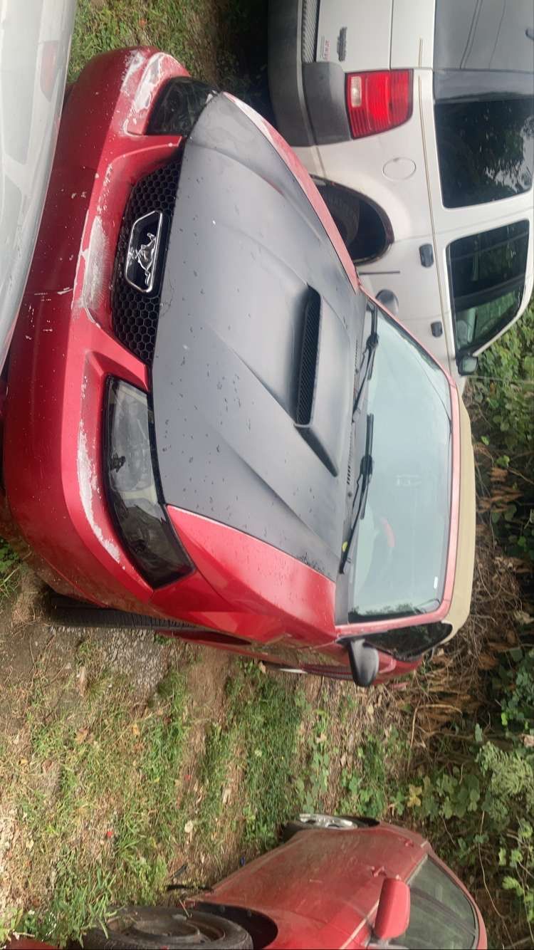 2001 Ford Mustang