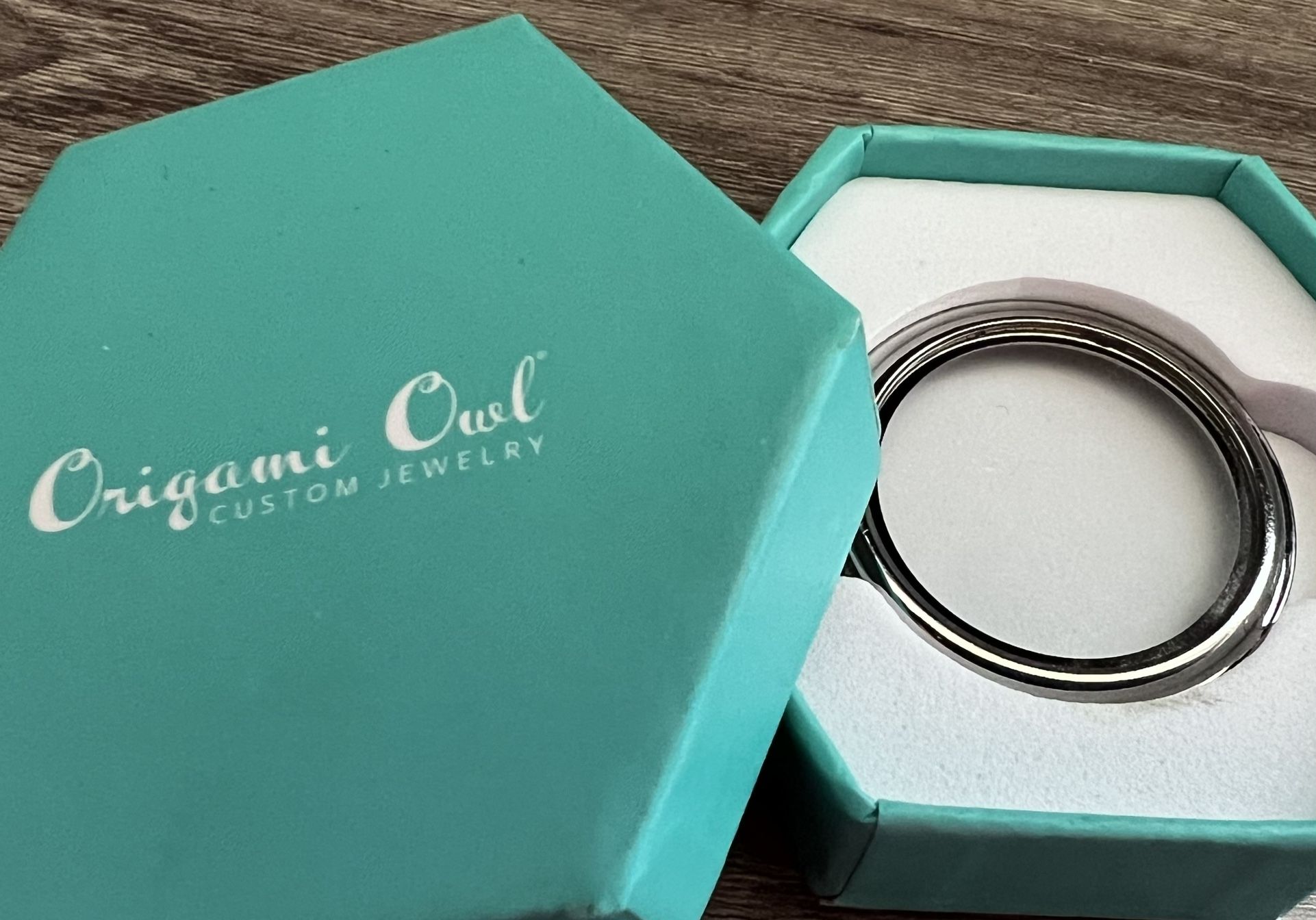 NEW Origami Owl Large Silver Twist Locket Face Cover Jewelry Authentic e