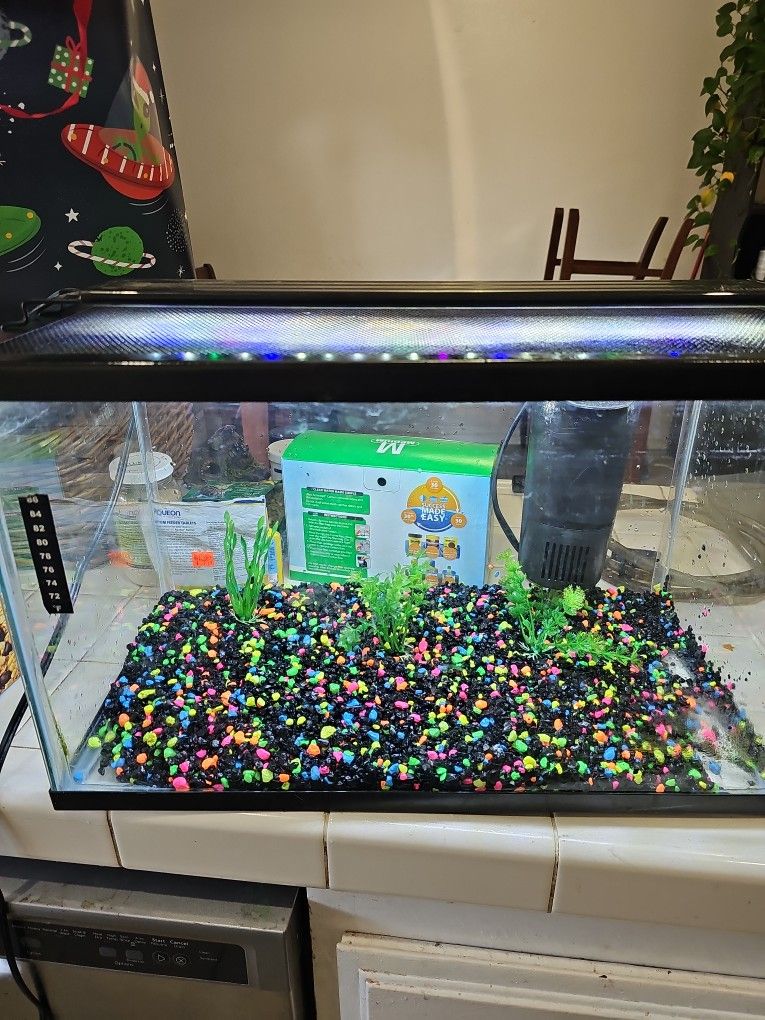 Aquarium Or Terranium