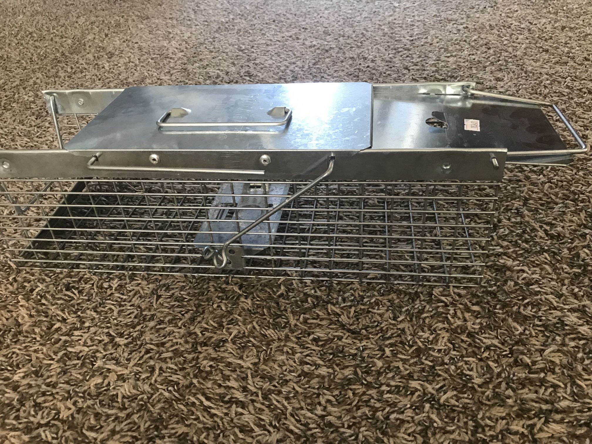 Small rodent trap