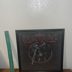 Bon Jovi Frame 