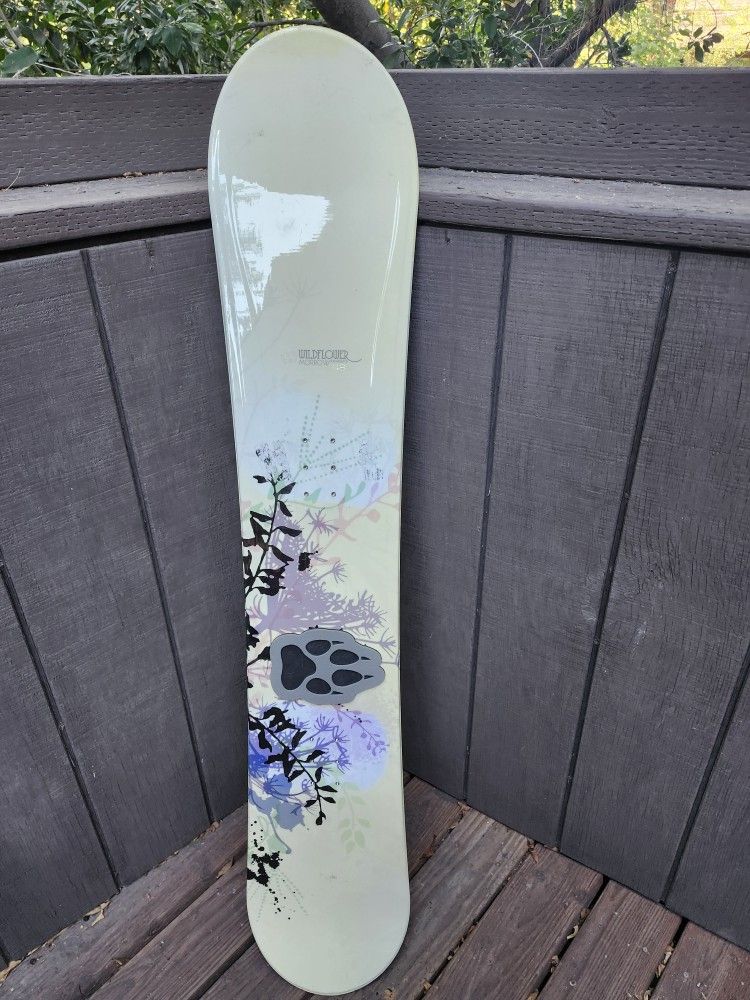 Snowboard