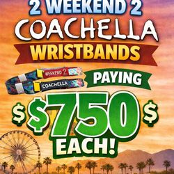 Looking for 2 wristbands!