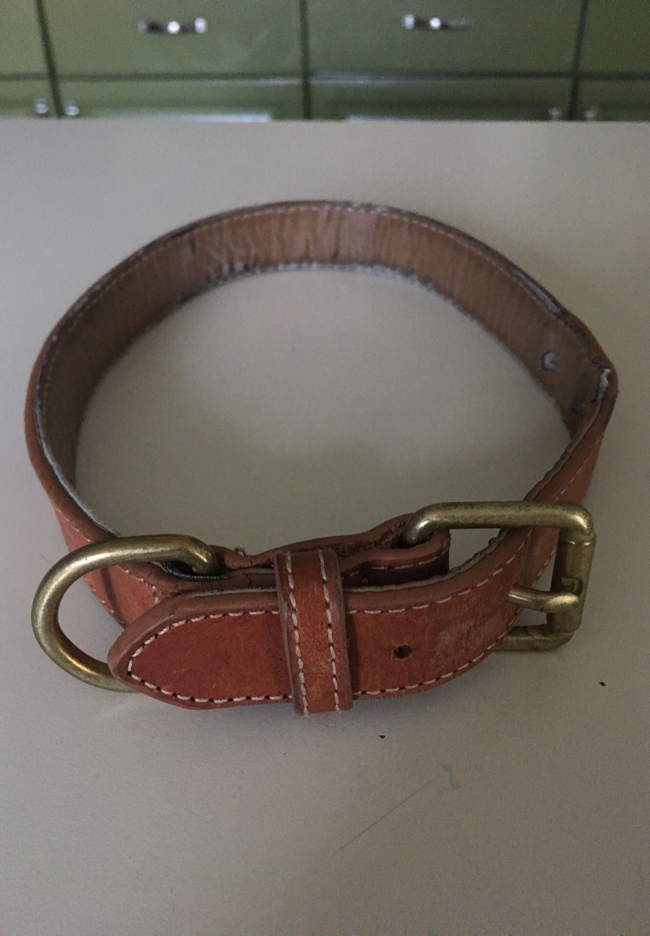 Leather dog collar —large